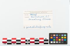 Foto von Bronzegürtelhaken (NHMW-PRAE-078065)